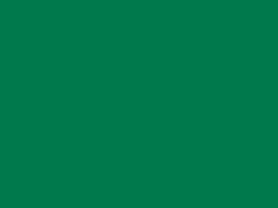 85 см № 258 яр. зеленый спираль (G) сорт-2 - купить в Серове. Цена: 16.97 руб.