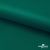 Ткань подкладочная Таффета, 19-5420, 53 г/м2, антистатик, шир. 150 см, вечнозеленый - купить в Серове. Цена 57.16 руб.