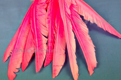 Декоративный Пучок из перьев, перо 25см/розовый - купить в Серове. Цена: 14.40 руб.