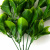 Трава искусственная -1, шт (эвкалипт лист 32 см/8 см)				 - купить в Серове. Цена: 169.93 руб.