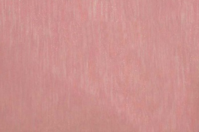 Органза однотонная "Амелия" С19 (Розовый) 280 см - купить в Серове. Цена 303.09 руб.