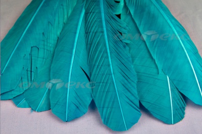 Декоративный Пучок из перьев, перо 24см/голубой - купить в Серове. Цена: 12.19 руб.
