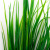 Трава искусственная -2, шт (осока 41см/8 см)				 - купить в Серове. Цена: 104.57 руб.