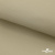 Ткань подкладочная TWILL 230T 14-1108, беж светлый 100% полиэстер,66 г/м2, шир.150 cм - купить в Серове. Цена 90.59 руб.