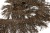 008-коричневый, Бахрома арт.001 шир.10см (упак.12+/-0,5м) - купить в Серове. Цена: 1 017.33 руб.