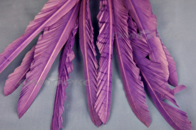 Декоративный Пучок из перьев, перо 25см/фиолетовый - купить в Серове. Цена: 12.19 руб.