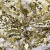 Трикотажное полотно, Сетка с пайетками, шир.130 см, #315, цв.-белый/золото - купить в Серове. Цена 693.39 руб.