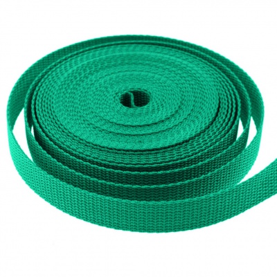 Стропа текстильная, шир. 25 мм (в нам. 50+/-1 ярд), цвет яр.зелёный - купить в Серове. Цена: 397.52 руб.