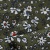Плательная ткань "Фламенко" 11.2, 80 гр/м2, шир.150 см, принт растительный - купить в Серове. Цена 259.21 руб.